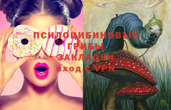 первитин Алексеевка