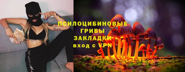 первитин Алексеевка