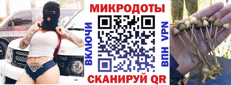 наркота mega Псилоцибиновые грибы мицелий Бабаево